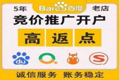 抖音信息流广告的投放策略与成功案例分析